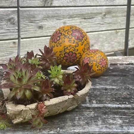 Birkenhof * Тахинг-ам-Зе