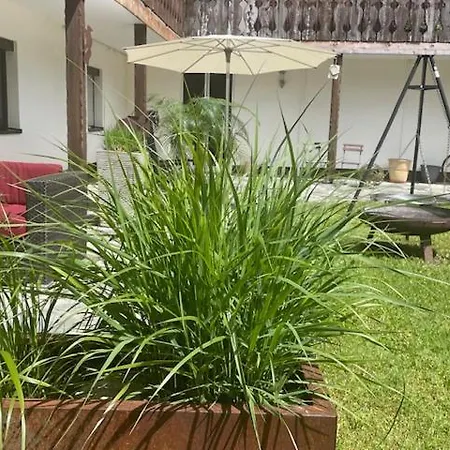 Апартаменты Birkenhof Тахинг-ам-Зе