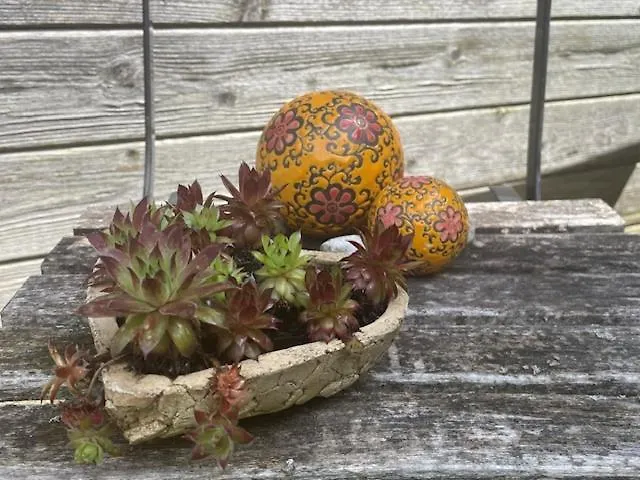 Birkenhof * Taching am See